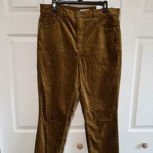 NWT Loft Gold Velvet Skinny Pants Sz 33 16
